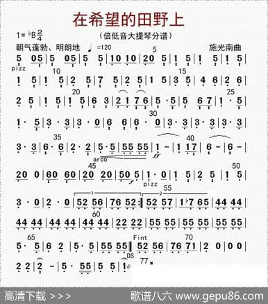 在希望的田野上（贝提琴分谱）|李国林配器