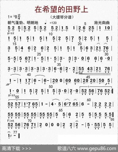 在希望的田野上（大提琴分谱）|李国林配器