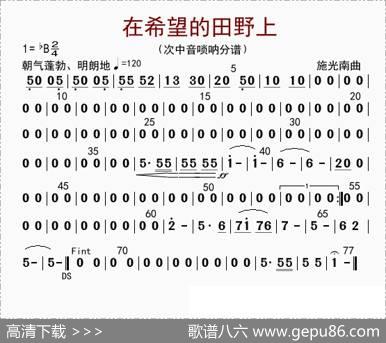 在希望的田野上（次中音唢呐）|李国林配器