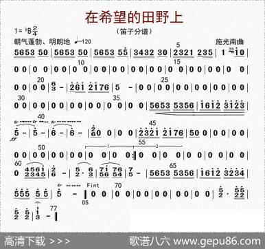 在希望的田野上（笛子分谱）|李国林配器