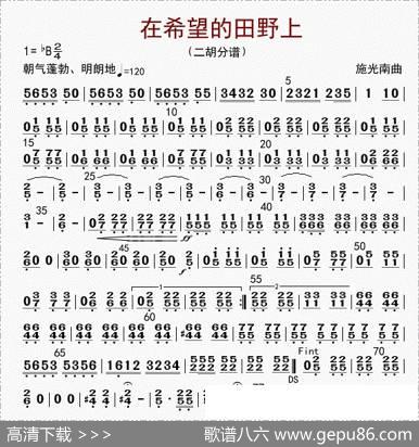 在希望的田野上（二胡分谱）|李国林配器