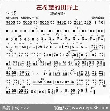 在希望的田野上（高胡分谱）|李国林配器