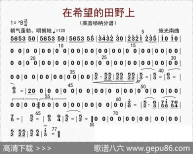 在希望的田野上（高音唢呐分谱）|李国林配器