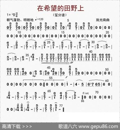在希望的田野上（笙分谱）|李国林配器