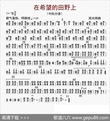 在希望的田野上（中阮分谱）|李国林配器