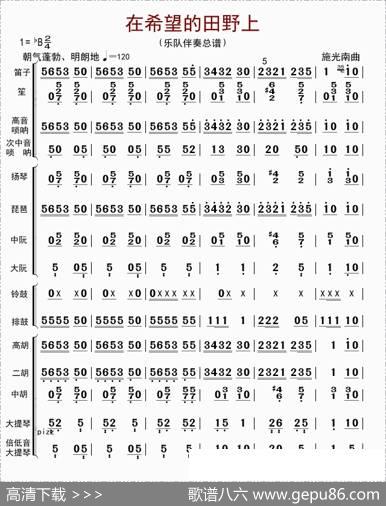 在希望的田野上（总谱）|李国林配器