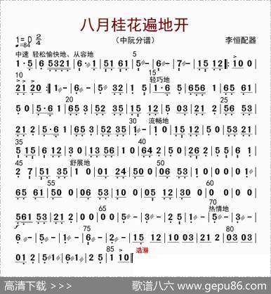 八月桂花遍地开（中阮分谱）|李恒配器