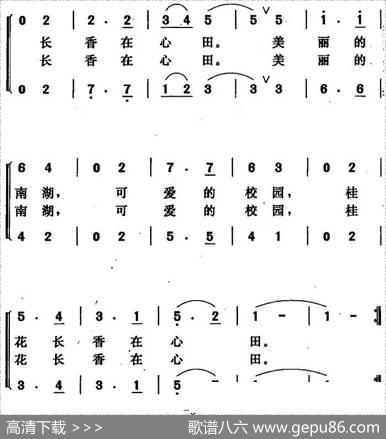 美丽的南湖，可爱的校园 - 陆新义唐晓鸣|唐晓鸣