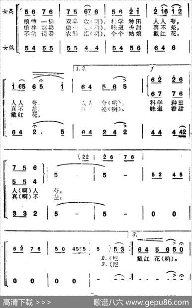 科学种田人人夸 - 古笛|环江壮族民歌林长春编曲