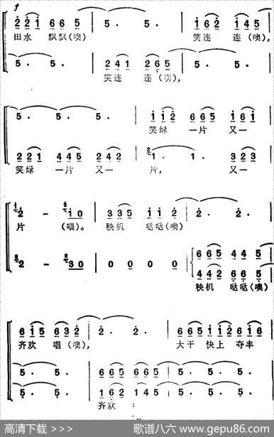 一帮姑娘赛插田 - 易立编词|凭祥壮族民歌李延林编曲