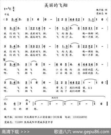 美丽的飞翔 - 魏子振|党继志