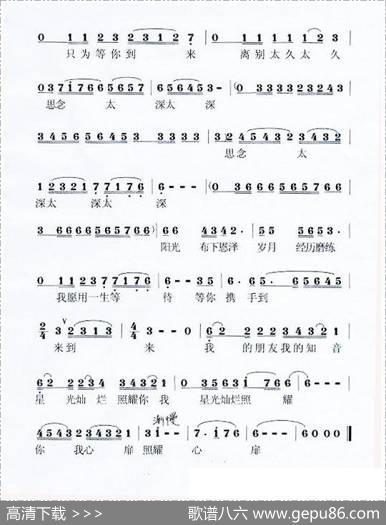 阳光布下恩泽 - 曾宪树|付丽文