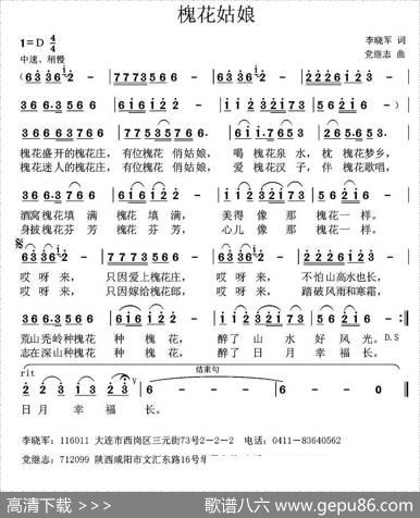 槐花姑娘 - 李晓军|党继志