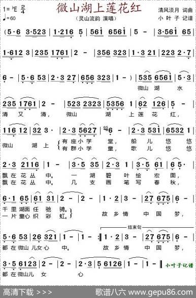 微山湖上莲花红 - 清风淡月|清风淡月