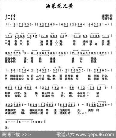 油菜花儿黄（红树林词何丽华曲） - 红树林|何丽华