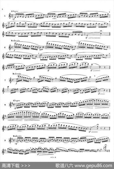 简易练习曲100首|Moyse（莫伊斯）