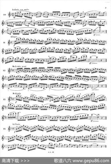 简易练习曲100首|Moyse（莫伊斯）