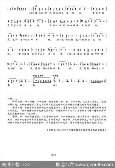 我是一棵簕杜鹃 - 李旦明|姚峰