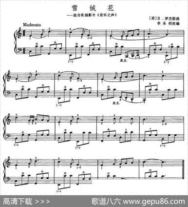 雪绒花