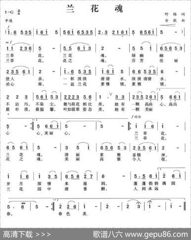 兰花魂 - 野梅|安歌