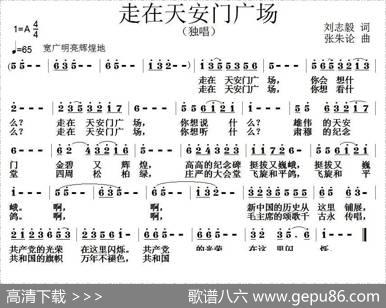 走在天安门广场 - 刘志毅|张朱论
