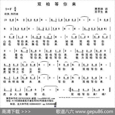 双柏等你来 - 萧思林|苏平生