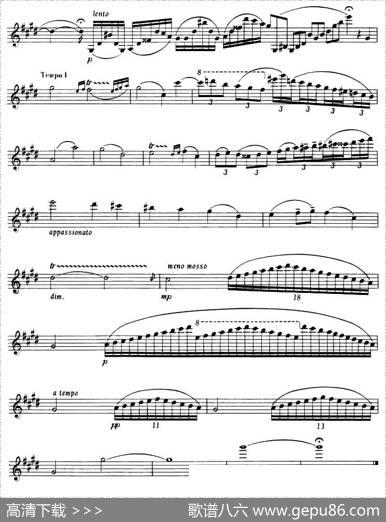 NOCTURNE