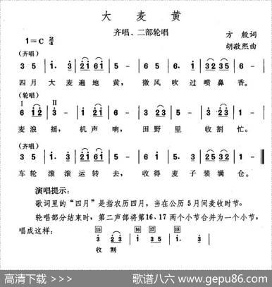 大麦黄 - 方殷|胡敬熙