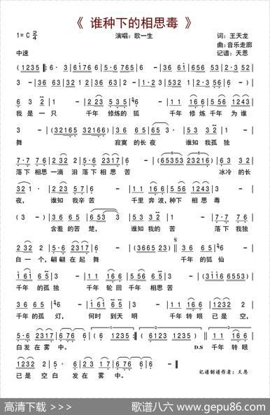 谁种下的相思毒 - 王天龙|音乐走廊