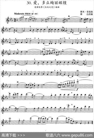 爱，多么绚丽辉煌（美国电影《生死之恋》插曲）|赛米·菲恩曲雄达改编