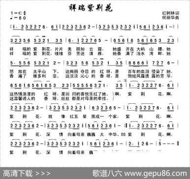 瑞祥紫金花 - 红树林|何丽华
