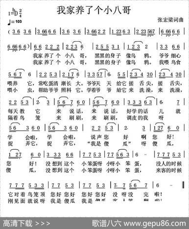 我家养了个小八哥 - 张宏梁|张宏梁