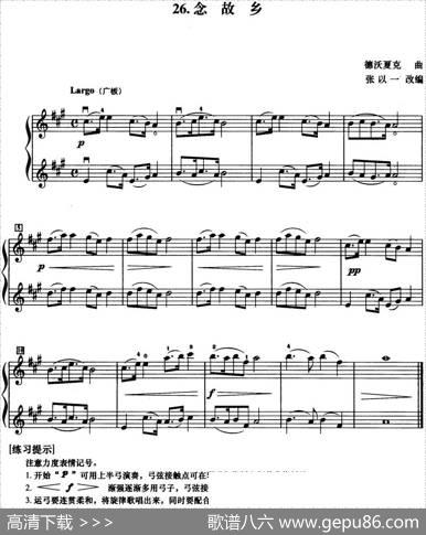 初级小提琴二重奏：念故乡|德沃夏克曲张以一改编