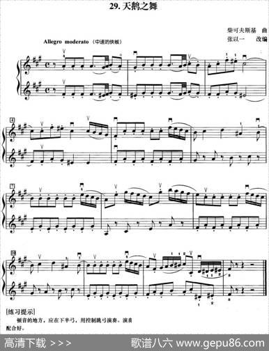 初级小提琴二重奏：天鹅之舞|柴可夫斯基曲张以一改编