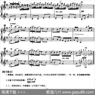 初级小提琴二重奏：幽默曲|德沃夏克曲张以一改编