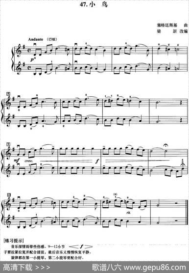 初级小提琴二重奏：小鸟|塞格廷斯基曲梁訢改编