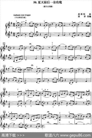 初级小提琴二重奏：夏天最后一朵玫瑰|恩斯特曲梁訢改编