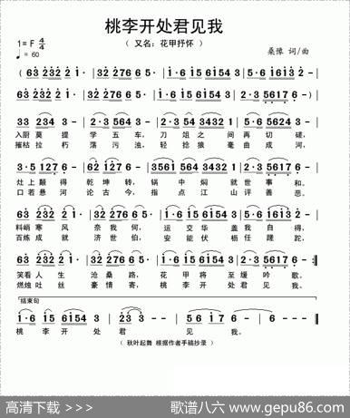 桃李开处君见我 - 桑豫|桑豫