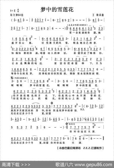 梦中的雪莲花 - 王帅|王帅