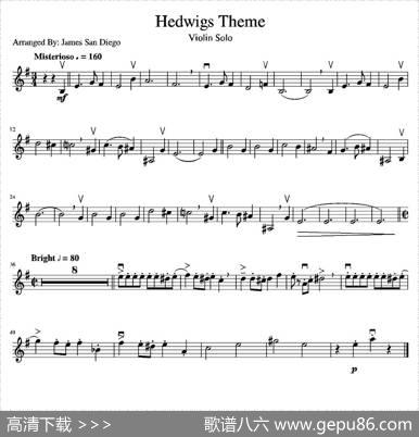 HedwigsTheme