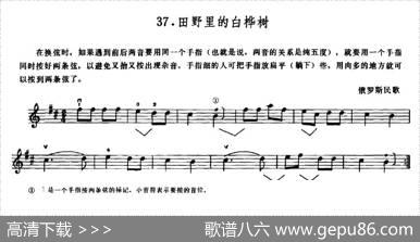 学琴之路练习曲37、田野里的白桦树|俄罗斯民歌