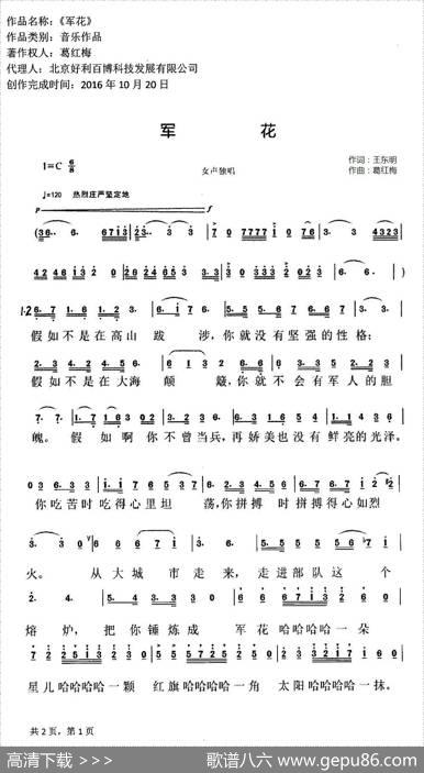 军花 - 王东明|葛红梅