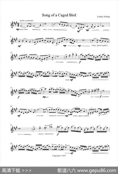 SongofaCagedBird|LindseyStirling
