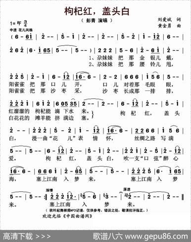 枸杞红，盖头白（又名：枸杞红盖头白） - 刘爱斌|黄金勇