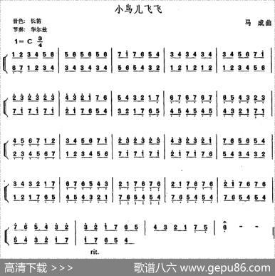 幼儿律动音乐：小鸟儿飞飞|马成