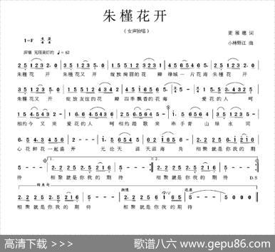 朱槿花开（麦展穗词小林野江曲） - 麦展穗|小林野江