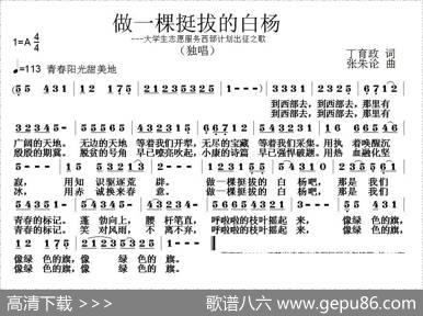 做一棵挺拔的白杨 - 丁育政|张朱论