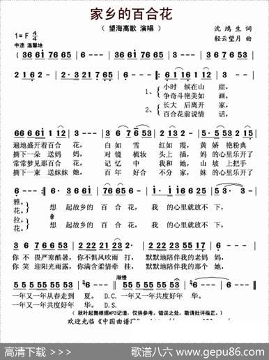 家乡的百合花 - 沈鸿生|轻云望月