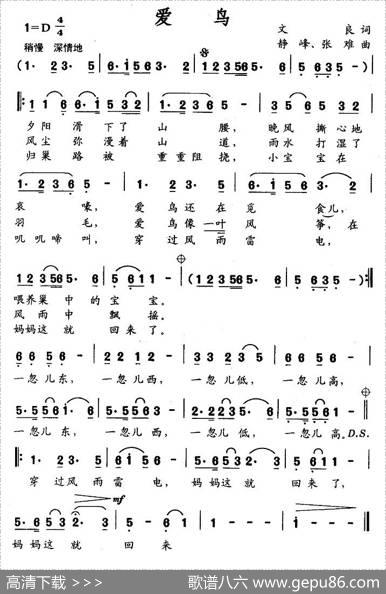 爱鸟 - 文良|静峰、张难