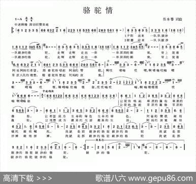 骆驼情 - 张永春|张永春
